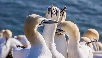 50米蝶泳刷新PB，潘展乐：成绩挺一般，以赛代练报个名玩玩